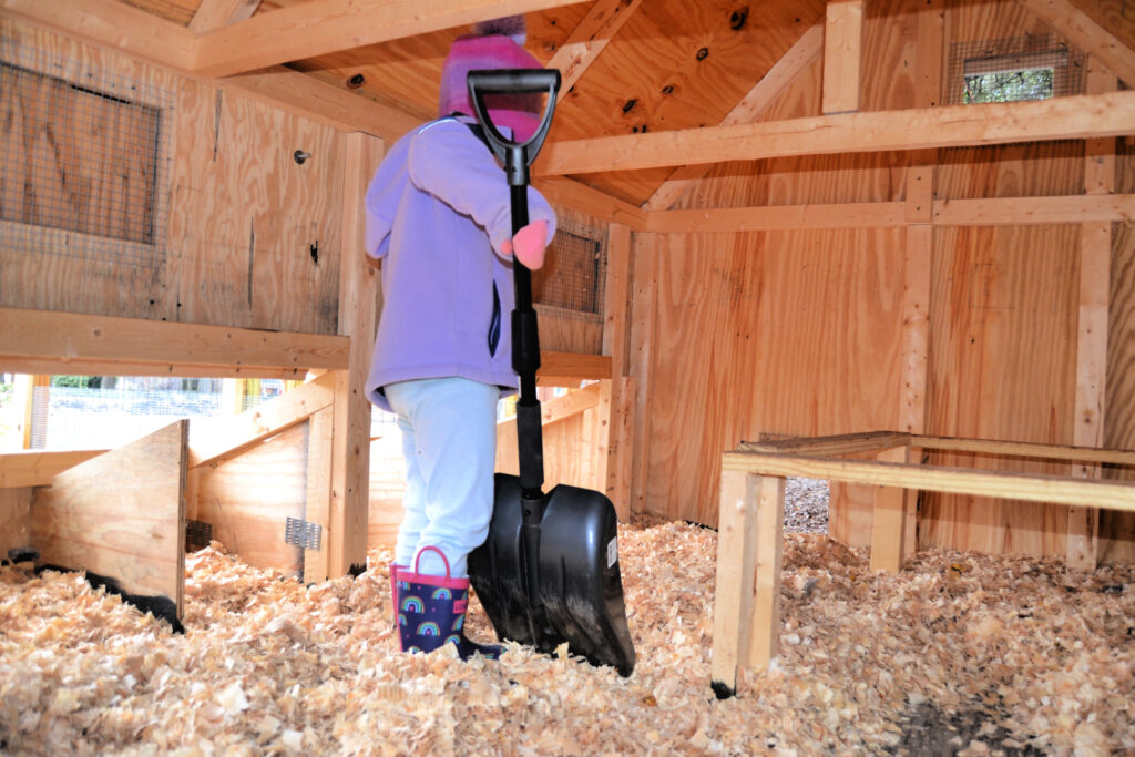 Little girl cleaning inside of chicken coop