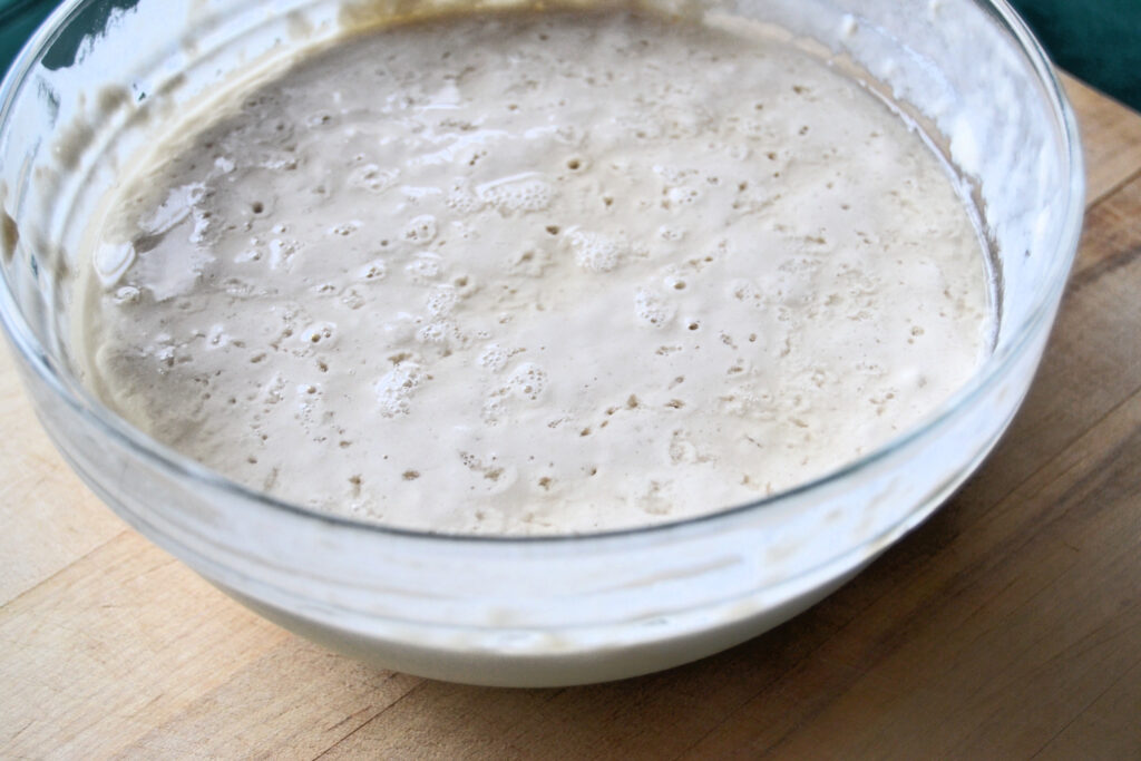 Sourdough starter side view