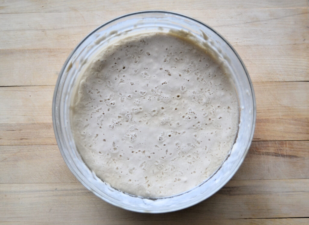 Overhead view of sourdough starter