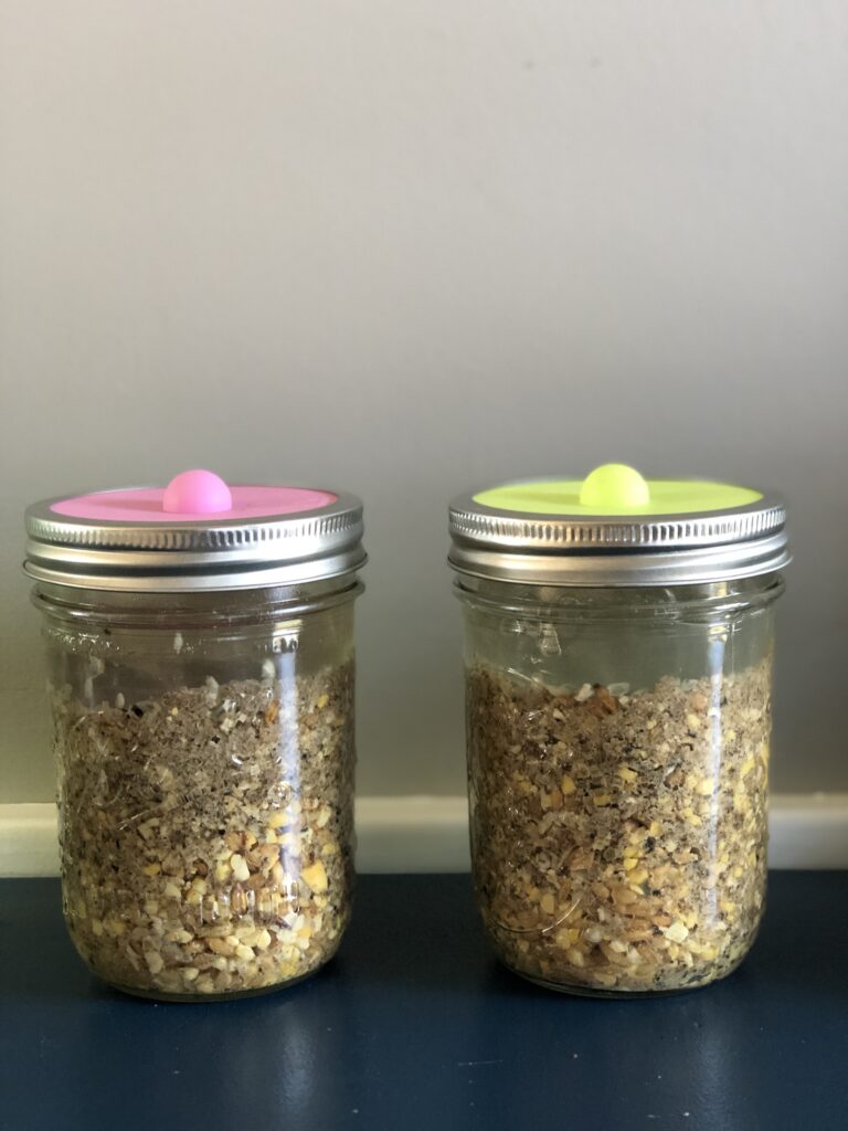 2 mason jars filled with fermented chicken feed