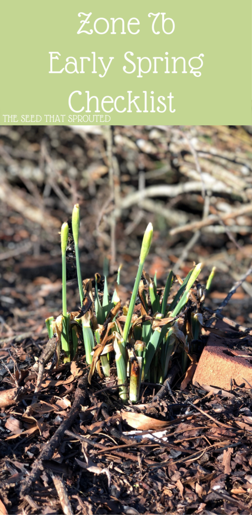 Zone 7b Early Spring Checklist #spring #farmchores #todolist #homesteading #zone7b