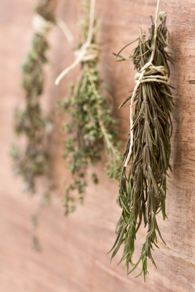 3 bundles of fresh herbs hanging to solar dry