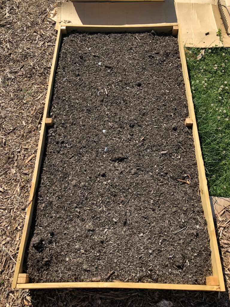 How to build cheap raised garden beds in 2021 image. Looking down on a full raised garden bed.