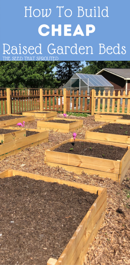 How to build cheap raised garden beds Pinterest graphic #raisedbed #gardening #containergardening #howtobuild #raisedgardenbed #gardenprojects