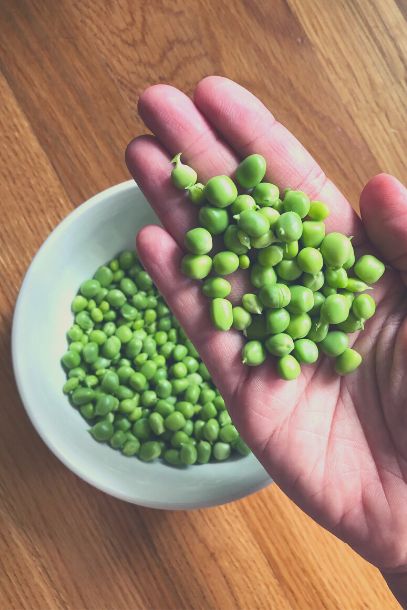 Freshly shelled spring garden peas