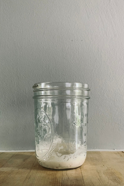 Mason jar with a scant amount of rehydrated sourdough starter in it from day 1 in the process.