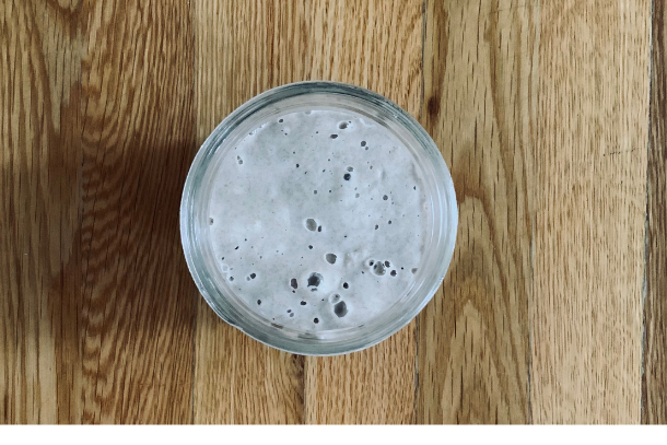 Looking down on a bubbly sourdough starter