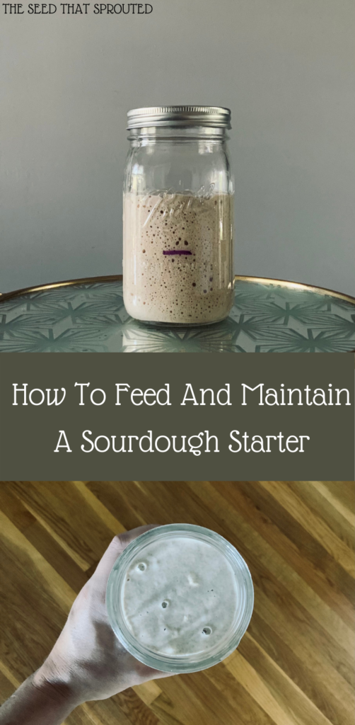 6 Tips for Feeding and Discarding Sourdough Starter » the