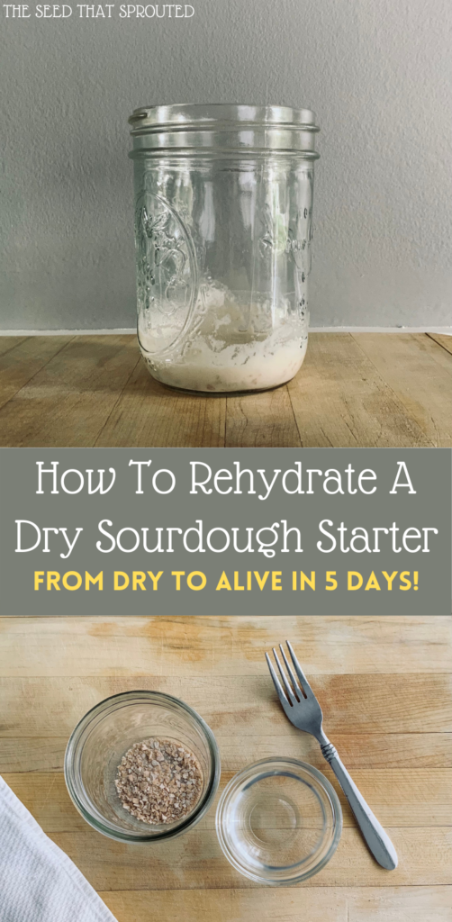 How To Rehydrate A Dry Sourdough Starter Pin #sourdough #sourdoughstarter #dehydratedfood #guthealthy #goodbacteria #sourdoughbread