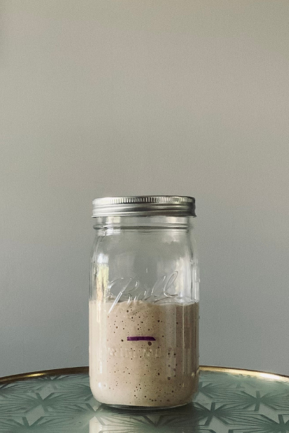 Sourdough starter in a mason jar starting to bubble and rise