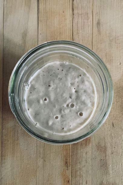 Mason jar of rehydrated sourdough starter